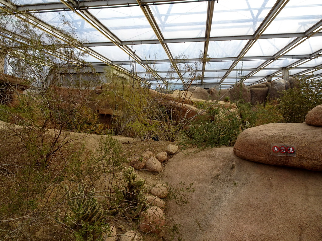 Interior of the Desert Hall of Burgers` Zoo