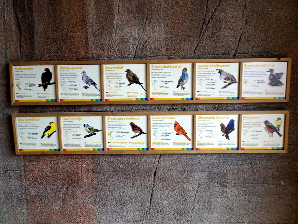 Explanation on bird species at the Desert Hall of Burgers` Zoo