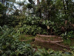 Interior of the Bush Hall of Burgers` Zoo