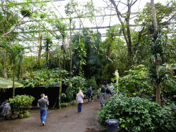 Interior of the Bush Hall of Burgers` Zoo