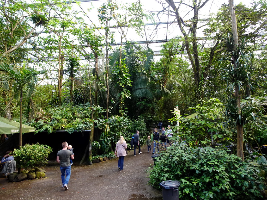 Interior of the Bush Hall of Burgers` Zoo