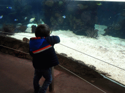 Max with fish at the Ocean Hall of Burgers` Zoo