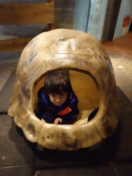 Max in a turtle shell at the Ocean Hall of Burgers` Zoo