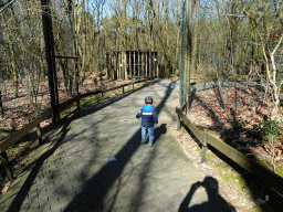 Max at the Safari Area of Burgers` Zoo