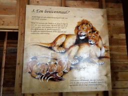 Information on the diet of Lions at the Safari Area of Burgers` Zoo