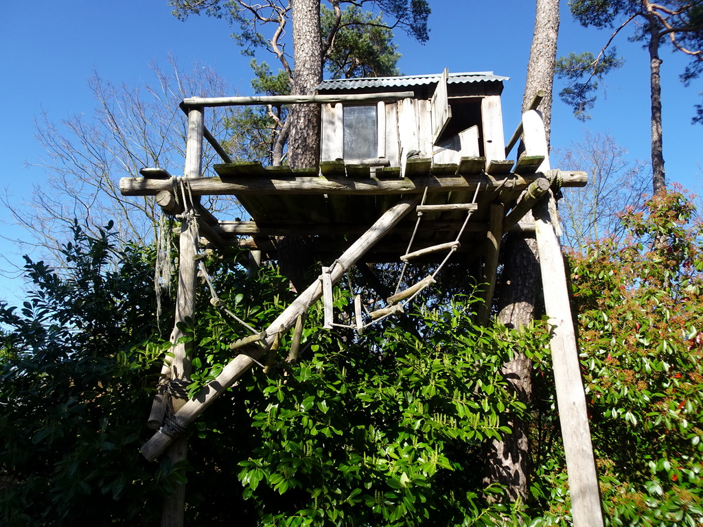 The tree house of Paul van Loon at Burgers` Zoo