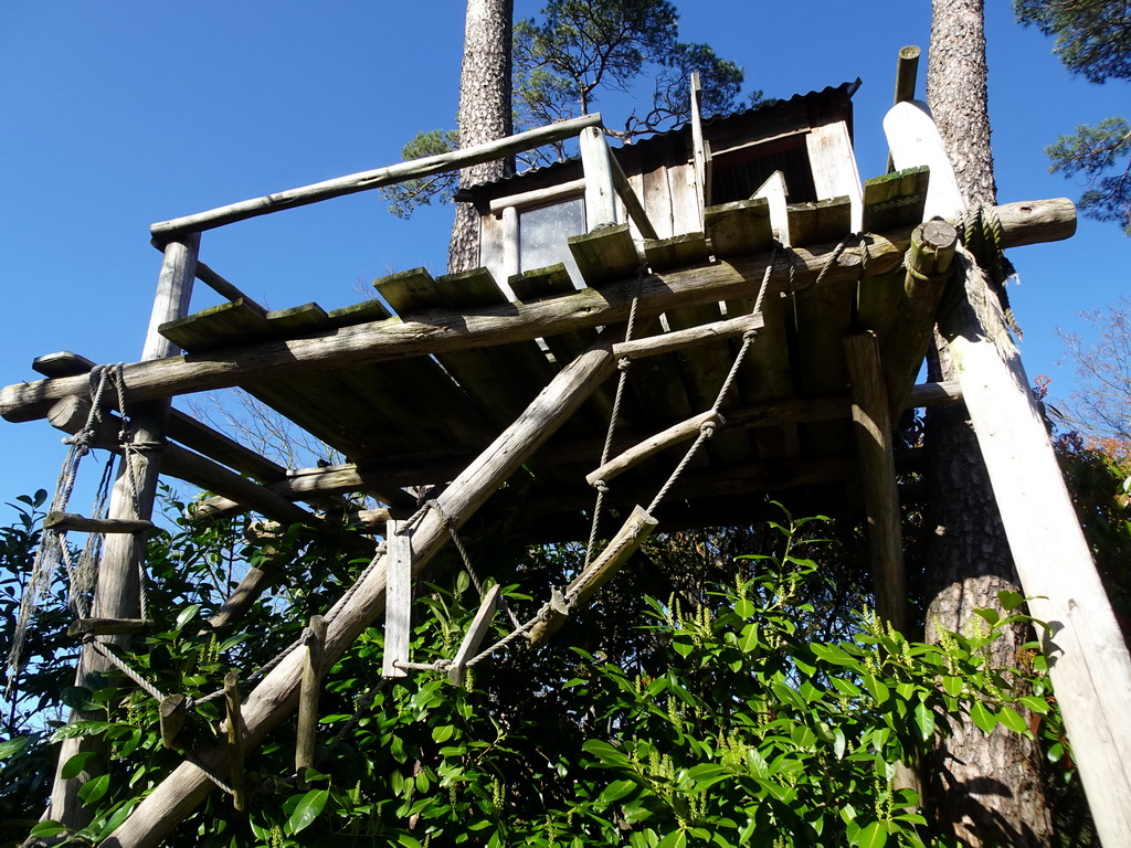 The tree house of Paul van Loon at Burgers` Zoo