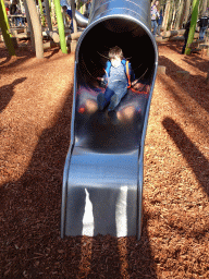Max on a slide at the Adventure Land playground at the Park Area of Burgers` Zoo