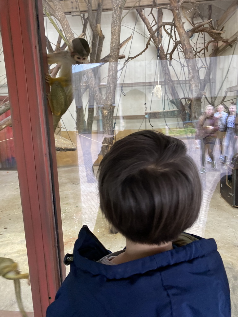 Max with a Squirrel Monkey at the Park Area of Burgers` Zoo