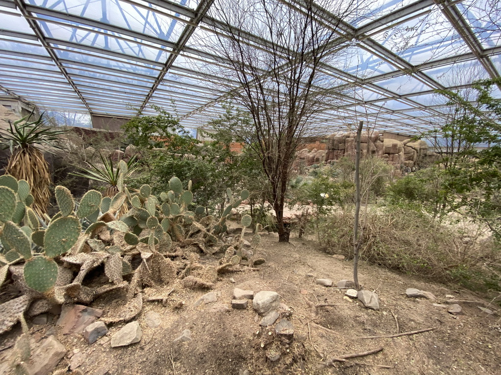 Interior of the Desert Hall of Burgers` Zoo