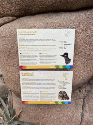 Explanation on the Greater Roadrunner and the Burrowing Owl at the Desert Hall of Burgers` Zoo