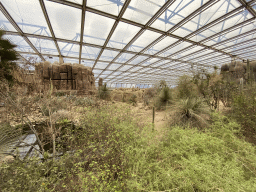 Interior of the Desert Hall of Burgers` Zoo