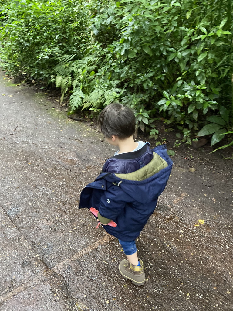 Max with his toy Flamingo walking at the Bush Hall of Burgers` Zoo