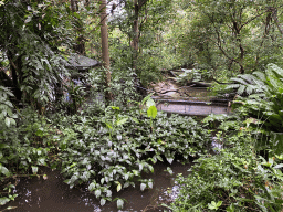 Interior of the Bush Hall of Burgers` Zoo