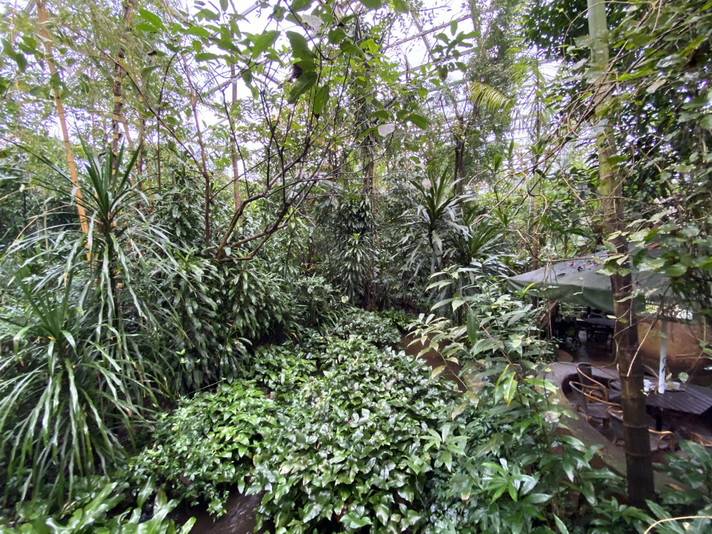 Interior of the Bush Hall of Burgers` Zoo