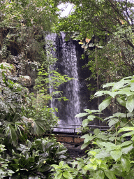 Waterfall and bridge at the Bush Hall of Burgers` Zoo