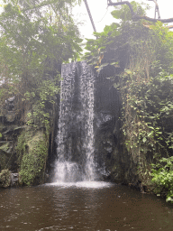 Waterfall at the Bush Hall of Burgers` Zoo