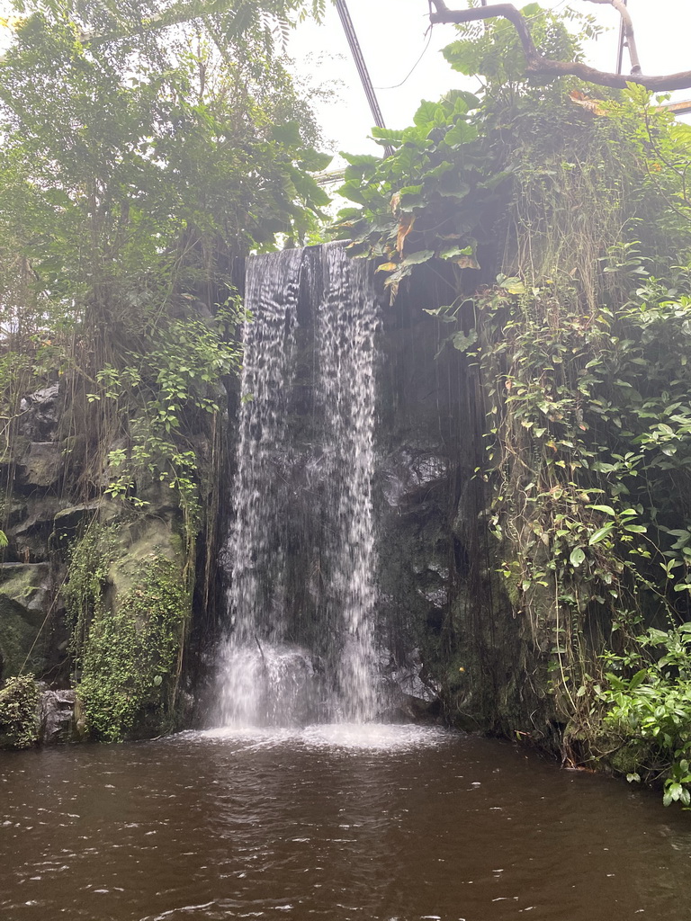 Waterfall at the Bush Hall of Burgers` Zoo