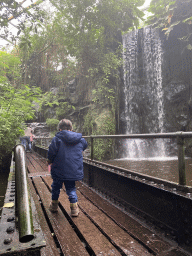 Max on a bridge and waterfall at the Bush Hall of Burgers` Zoo