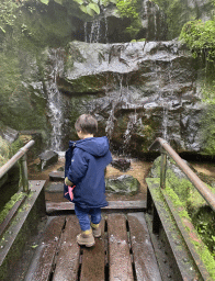 Max at the stepping stones in front of a waterfall at the Bush Hall of Burgers` Zoo