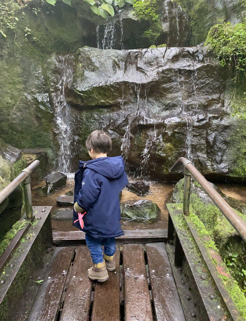 Max at the stepping stones in front of a waterfall at the Bush Hall of Burgers` Zoo