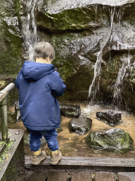 Max at the stepping stones in front of a waterfall at the Bush Hall of Burgers` Zoo