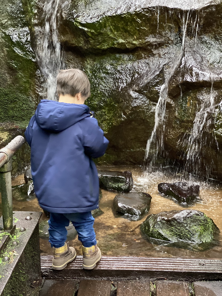 Max at the stepping stones in front of a waterfall at the Bush Hall of Burgers` Zoo