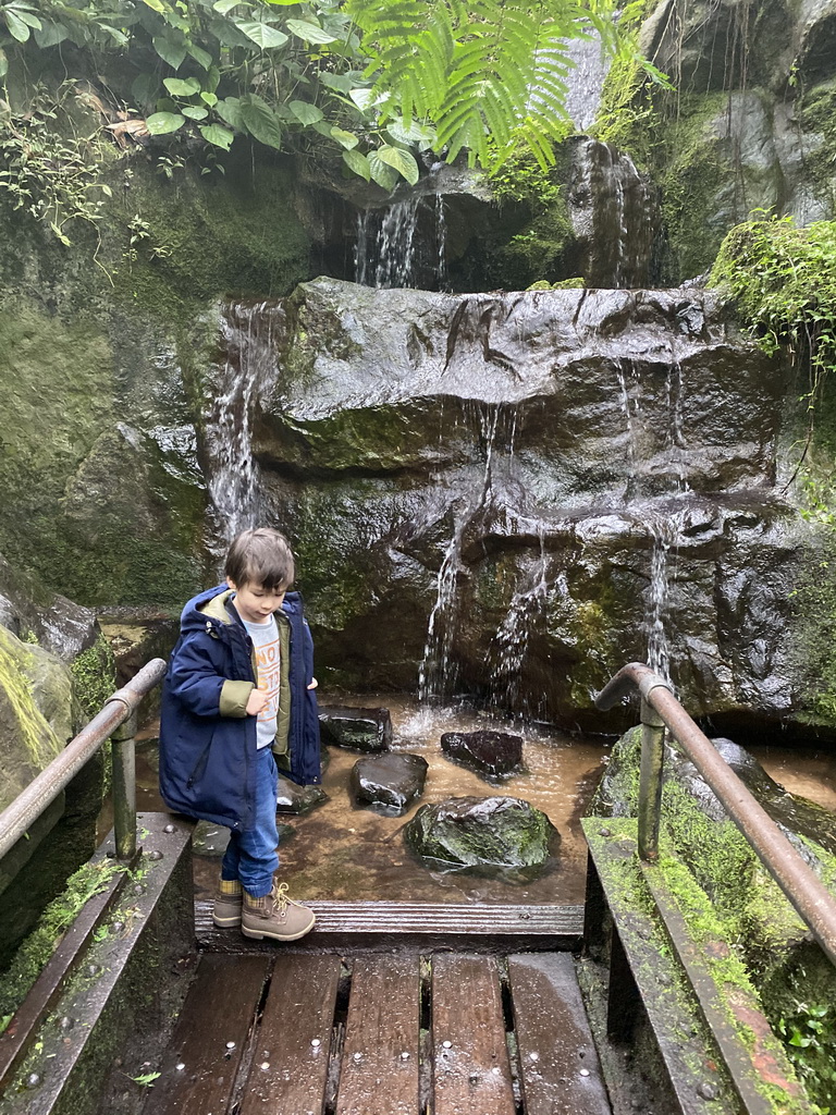 Max at the stepping stones in front of a waterfall at the Bush Hall of Burgers` Zoo