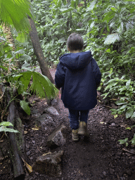 Max on a jungle path at the Bush Hall of Burgers` Zoo