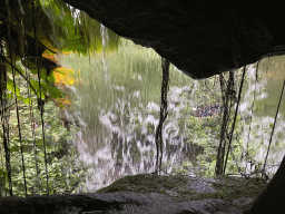 Back side of the waterfall at the Bush Hall of Burgers` Zoo