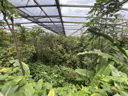 Interior of the Bush Hall of Burgers` Zoo, viewed from the viewing platform