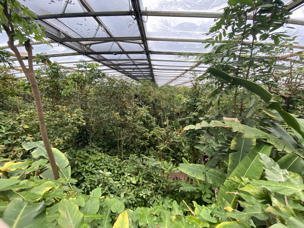 Interior of the Bush Hall of Burgers` Zoo, viewed from the viewing platform