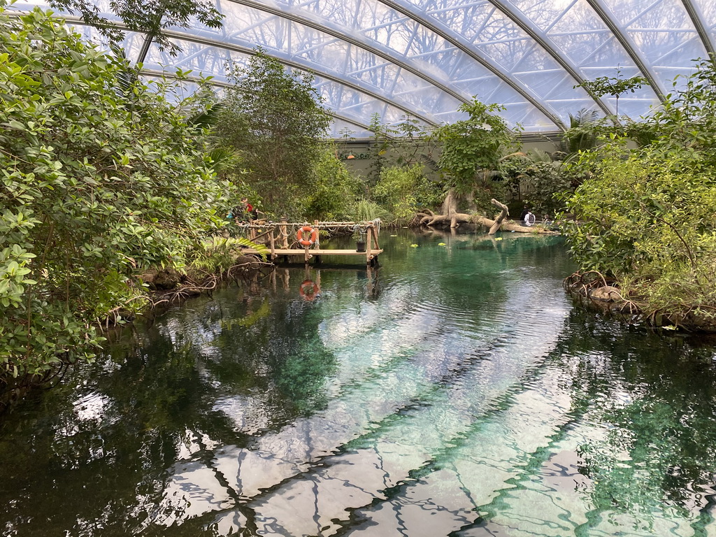 Interior of the Mangrove Hall of Burgers` Zoo