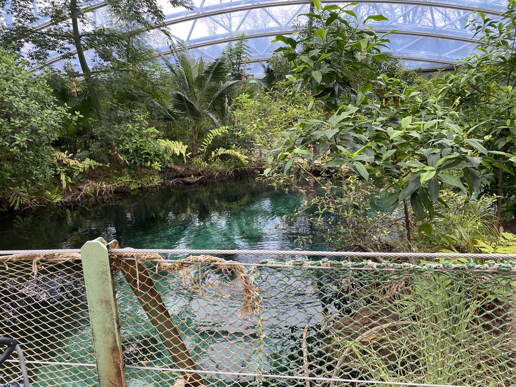 Interior of the Mangrove Hall of Burgers` Zoo