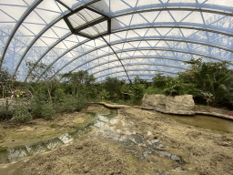 Interior of the Mangrove Hall of Burgers` Zoo