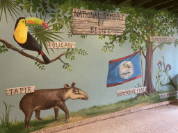Wall painting of the national symbols of Belize at the Mangrove Hall of Burgers` Zoo