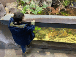 Max with fish at the Park Area of Burgers` Zoo