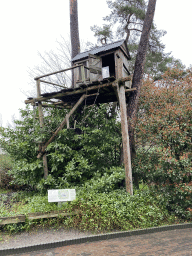The tree house of Paul van Loon at Burgers` Zoo