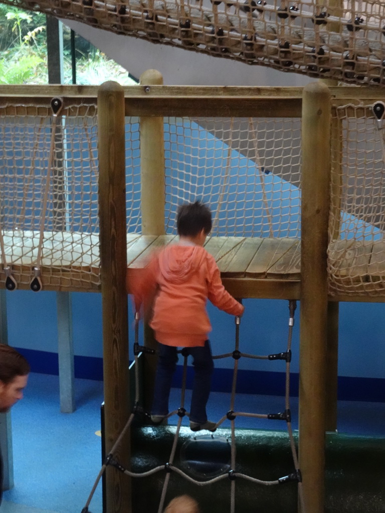 Max on a rope bridge at the Kids Jungle playground at the Park Area of Burgers` Zoo