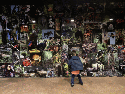 Max and a wall with photographs at the Rimba Area of Burgers` Zoo