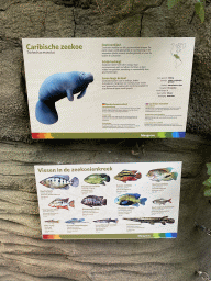 Explanation on the Caribbean Manatee and fish species at the Mangrove Hall of Burgers` Zoo