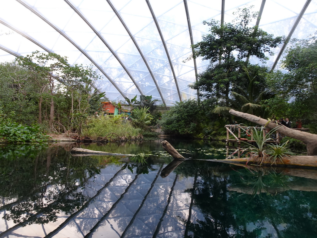 Interior of the Mangrove Hall of Burgers` Zoo