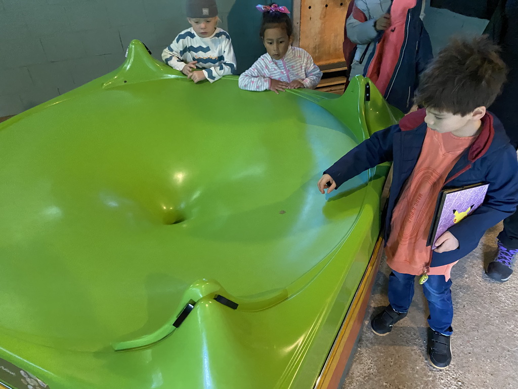 Max throwing a coin in a coin funnel at the Mangrove Hall of Burgers` Zoo