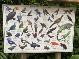 Information on the free-ranging animals at the Bush Hall of Burgers` Zoo