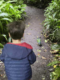 Max with a Nicobar Pigeon at the Bush Hall of Burgers` Zoo