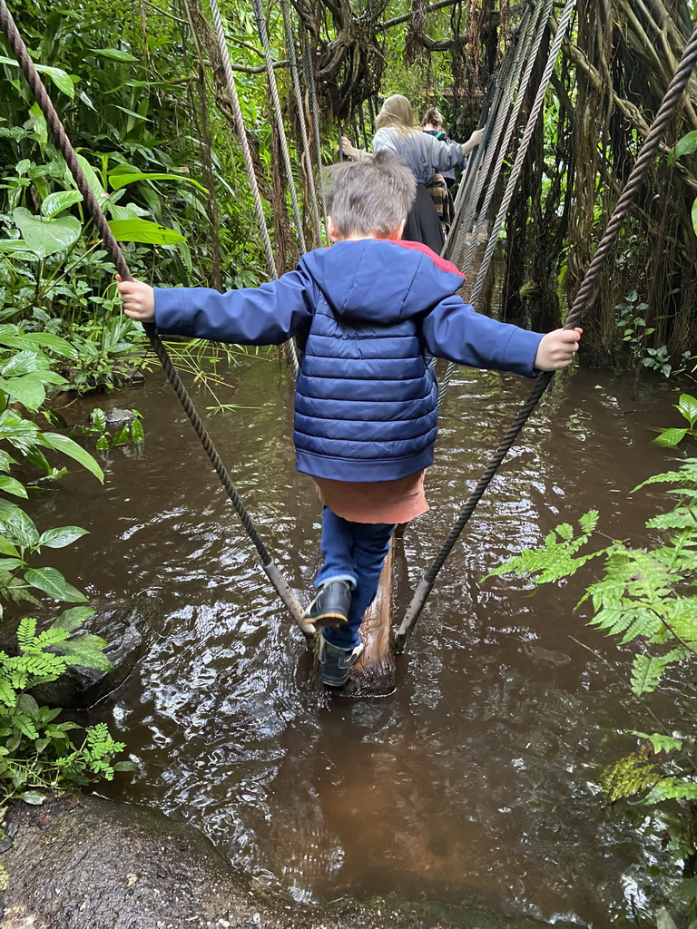 Max on a rope bridge at the Bush Hall of Burgers` Zoo