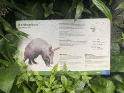 Explanation on the Aardvark at the Bush Hall of Burgers` Zoo