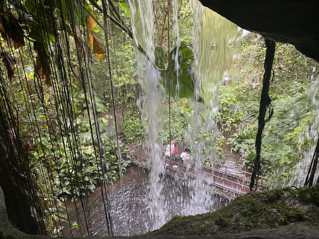 Back side of the waterfall at the Bush Hall of Burgers` Zoo