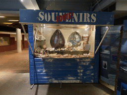 Exhibition of bad souvenirs at the Ocean Hall of Burgers` Zoo