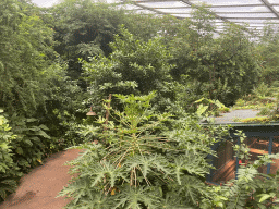 Interior of the Bush Hall of Burgers` Zoo, viewed from the path to the Safari Meeting Centre